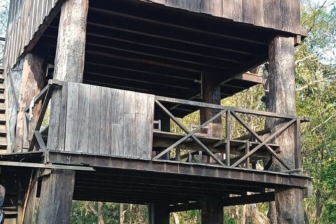 Jungle Tower Night Stay in Chitwan National Park 2 Nights 3 Days - Detailed Itinerary Breakdown