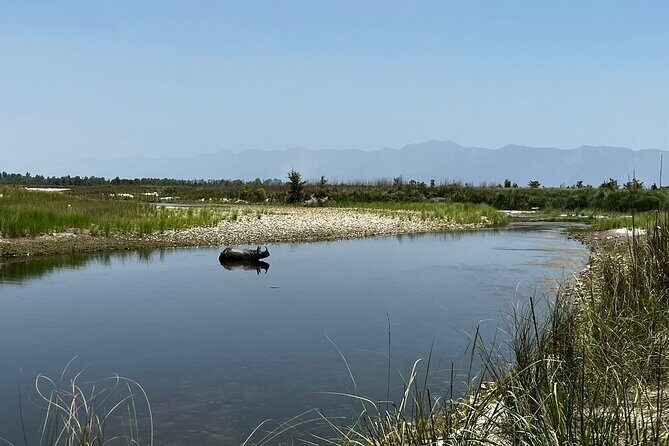Jungle Tower Night Stay in Chitwan National Park 2 Nights 3 Days - Who Would Love This Tour?
