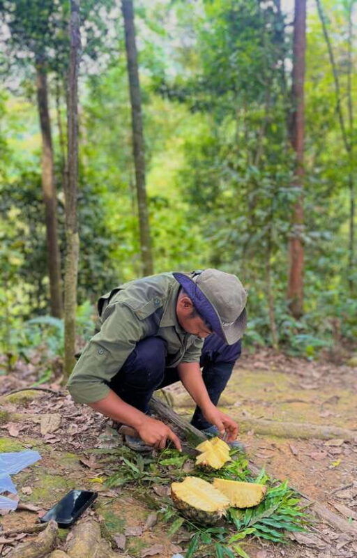 jungle-trek-including-stay-batu-ridi-jungle