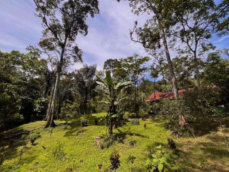 jungle-trek-including-stay-batu-ridi-jungle