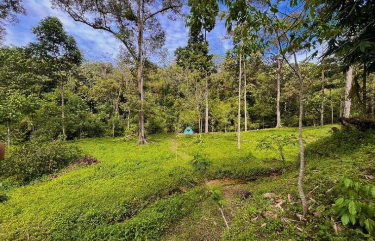 jungle-trek-including-stay-batu-ridi-jungle