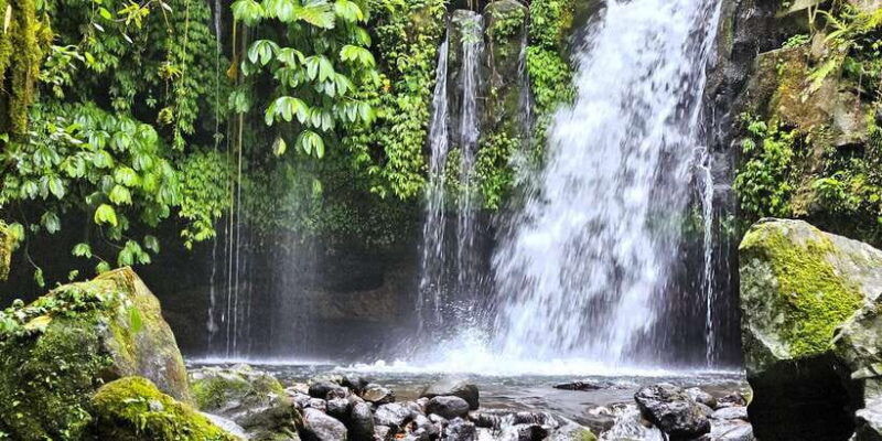 jungle-trekking-at-mt-batukaru-scenic-waterfall-village