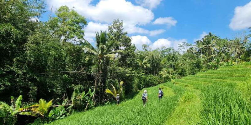 jungle-trekking-at-mt-batukaru-scenic-waterfall-village