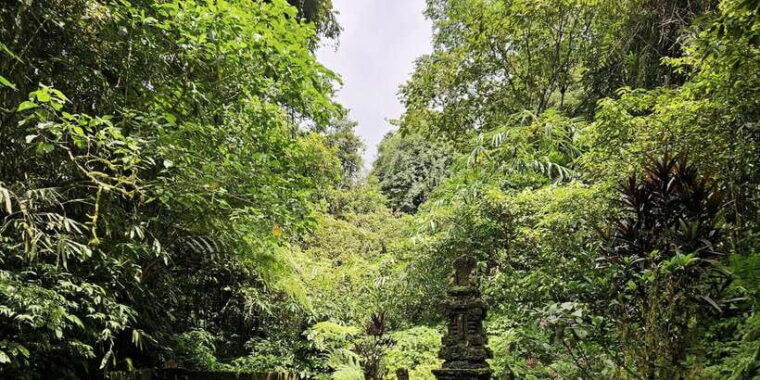 jungle-trekking-at-mt-batukaru-scenic-waterfall-village