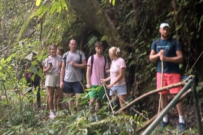 Jungle Trekking Day Tour - Why This Tour Stands Out