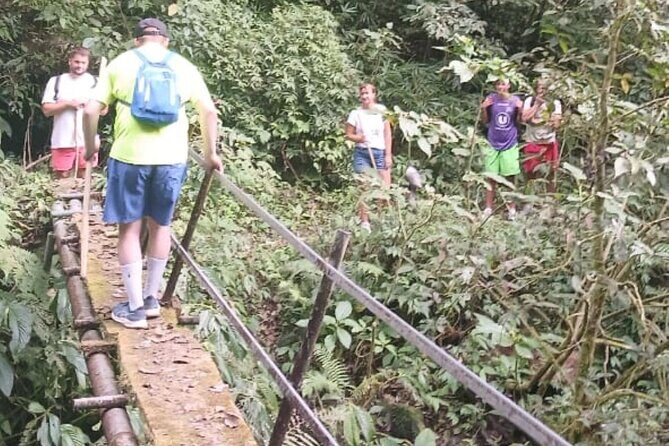 Jungle Trekking Day Tour - Final Thoughts: Is It Worth It?