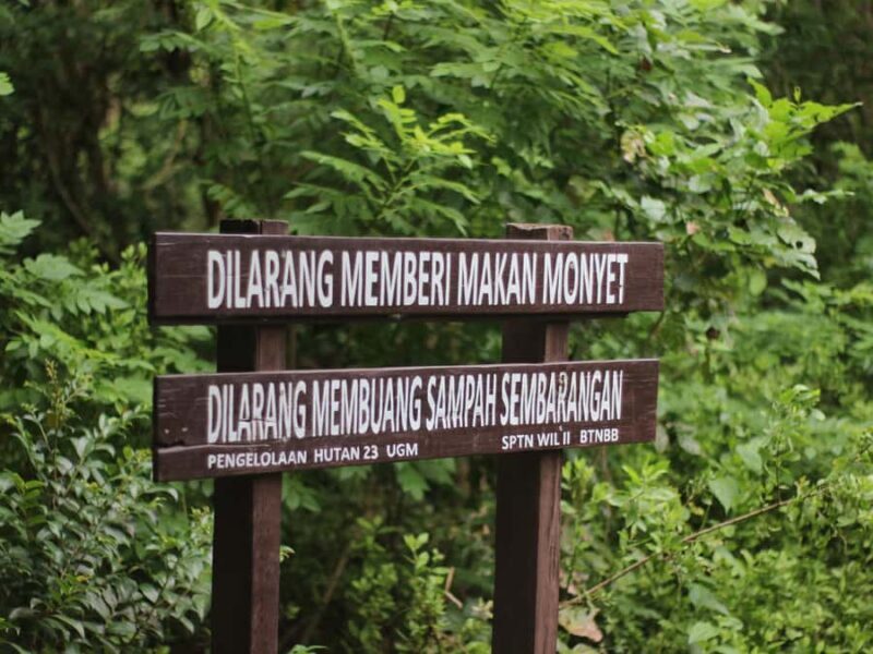 Jungle Trekking West Bali National Park - Key Points