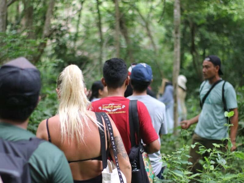 Jungle Trekking West Bali National Park - An In-Depth Look at the Jungle Trekking Experience