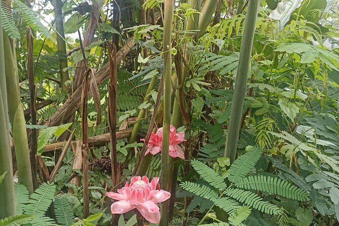 Jungle Trekking With Jatiluwih Unesco Heritage Site in Tabanan - Final Thoughts