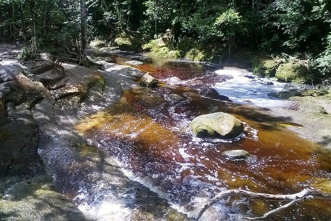 jungle-walking-with-caves-and-waterfalls-in-amazon-full-day-tour