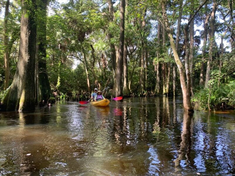 jupiter-loxahatchee-river-scenic-kayak-tour
