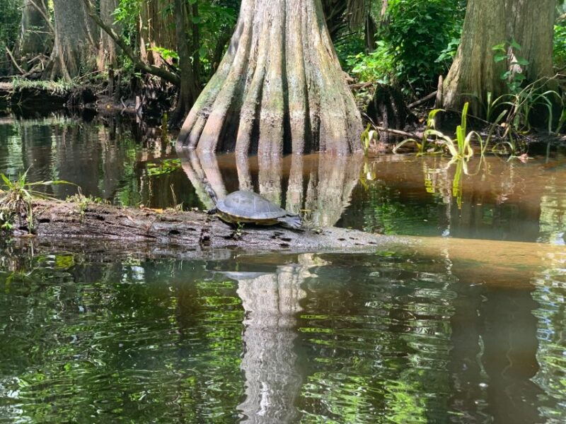 jupiter-loxahatchee-river-scenic-kayak-tour