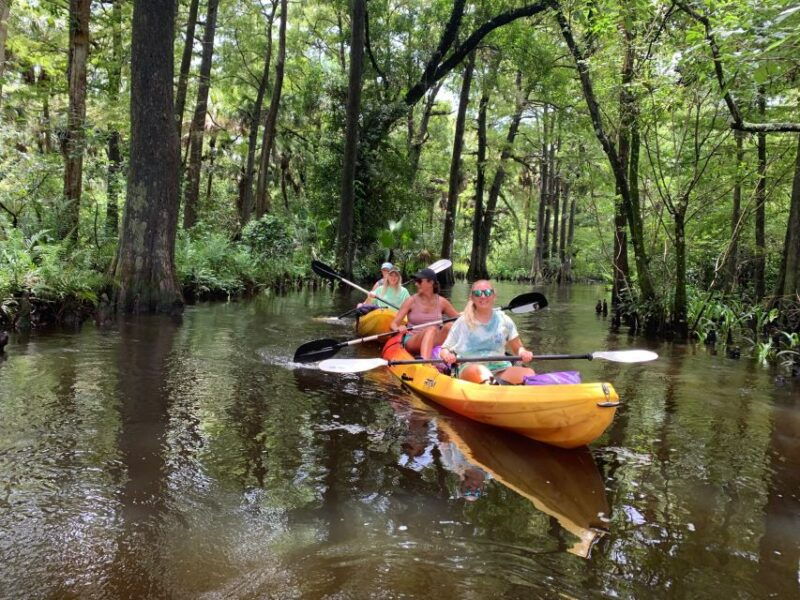 jupiter-loxahatchee-river-scenic-kayak-tour