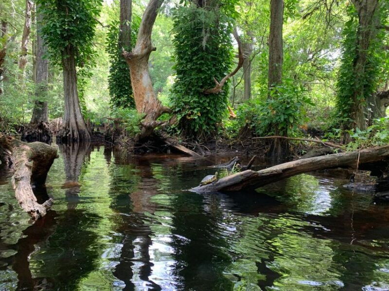 jupiter-loxahatchee-river-scenic-kayak-tour