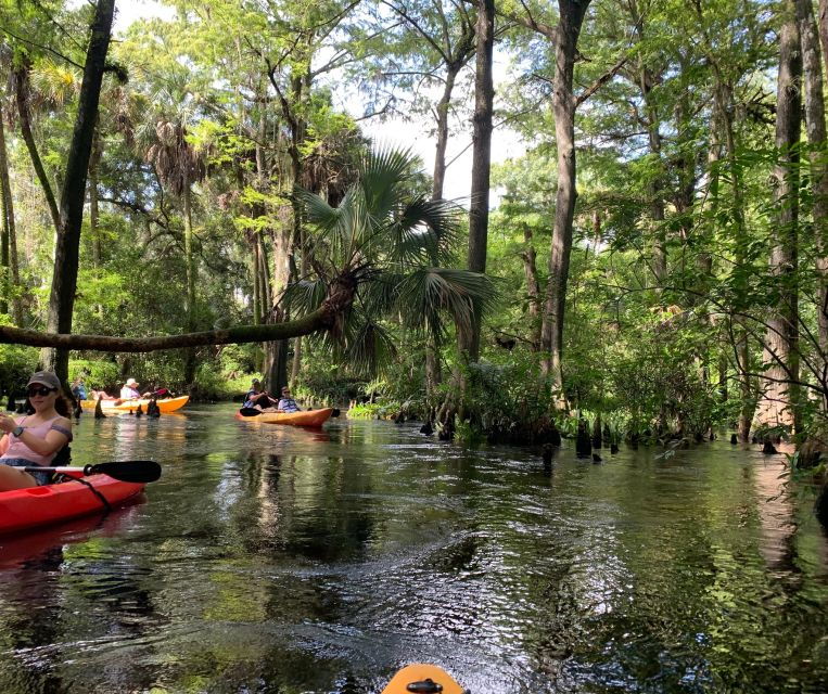 jupiter-loxahatchee-river-scenic-kayak-tour