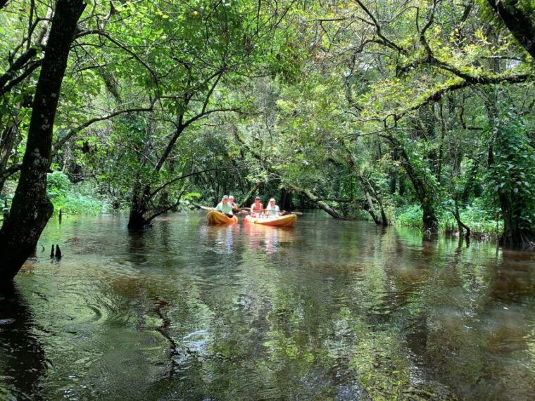 jupiter-loxahatchee-river-scenic-kayak-tour