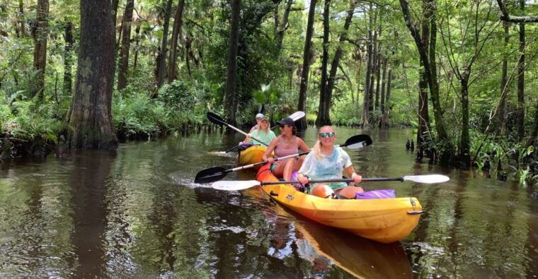 jupiter-loxahatchee-river-scenic-kayak-tour