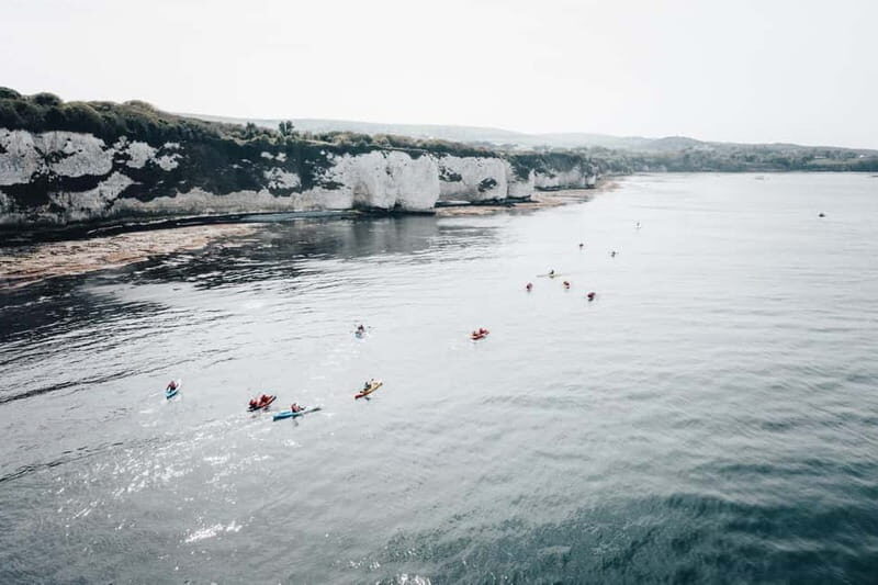 Jurassic Coast Kayaking Tour to Old Harry Rocks - What Makes This Tour Stand Out?