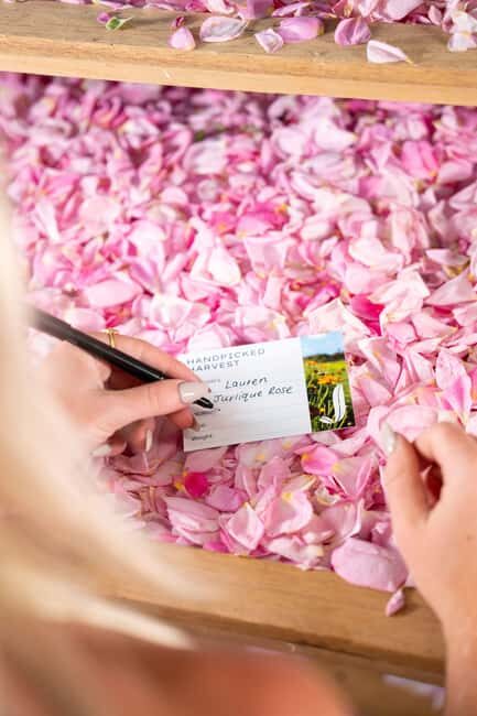 Jurlique Handpicked Masterclass - The Value of the Experience: How It Adds Up