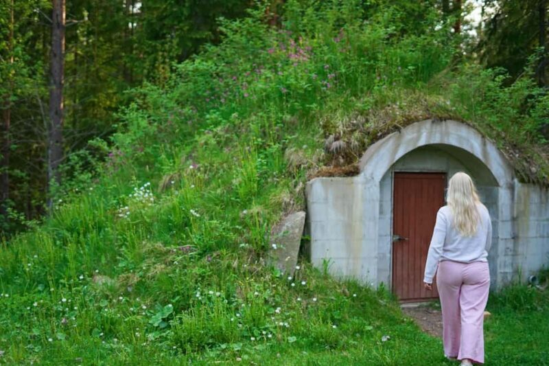Jyväskylä: Cottage Day with Locals and Sauna & Campfire Food - Key Points