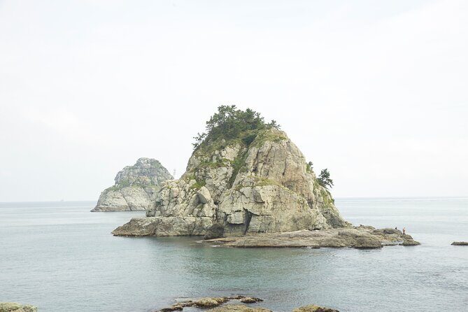 K-pop boyband Tour of Jimin's Memory - Practical Considerations and Value