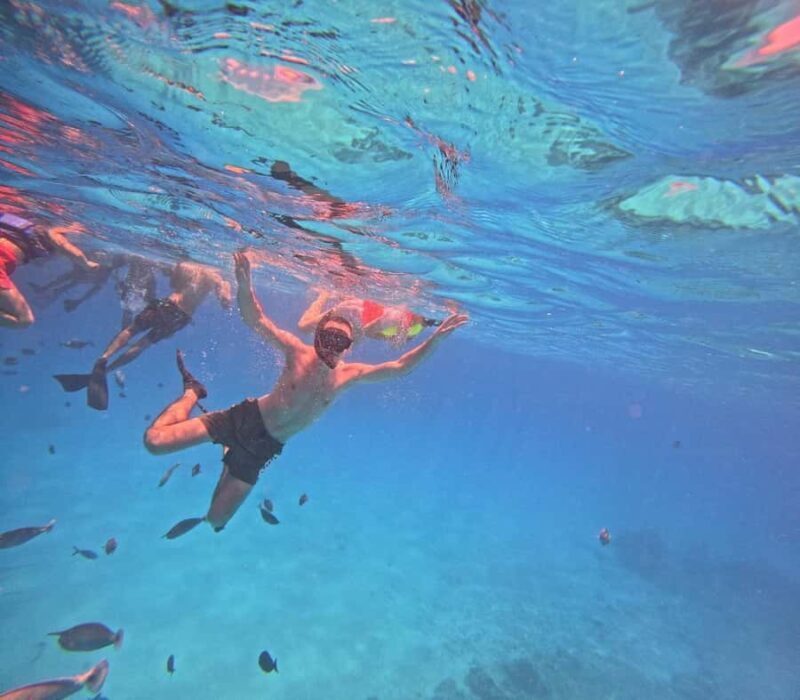 kaafu tour with lunch - What You Can Expect From the Tour