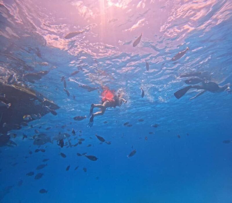 kaafu tour with lunch - Who Will Love This Tour