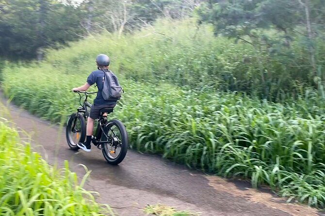Kaanapali to Kapalua Maui Explorer Electric Bike Rental - Starting Point and Meeting Details