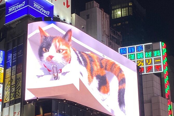 kabukicho-deep-tour-dinner-bar-hop-w-local-certified-guide