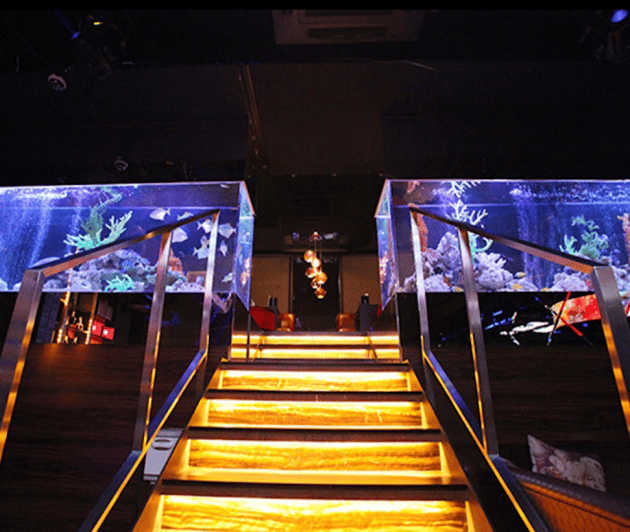 kabukicho-shinjuku-experiencing-japanese-host-club