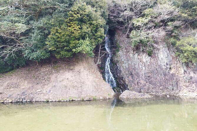 Kagawa: Ritsurin Garden Guided Walking Tour - Price and Value Analysis