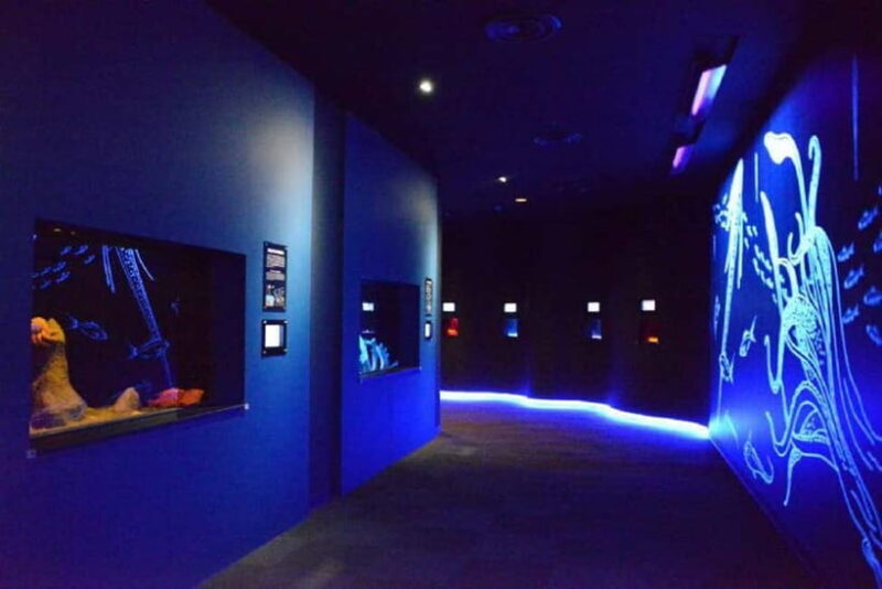 Kagoshima Aquarium Admission Ticket - What Is Kagoshima Aquarium All About?