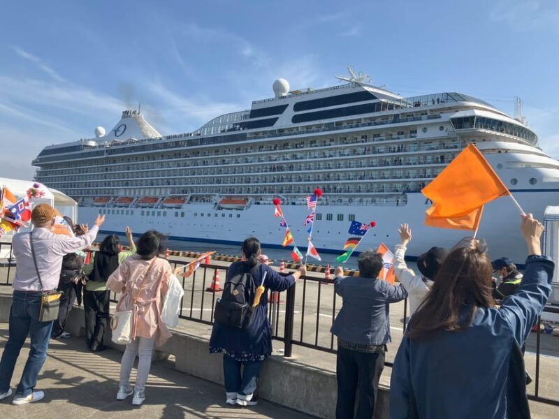 Kagoshima Custom Tour with Private Car and Driver - Why Choose This Tour?