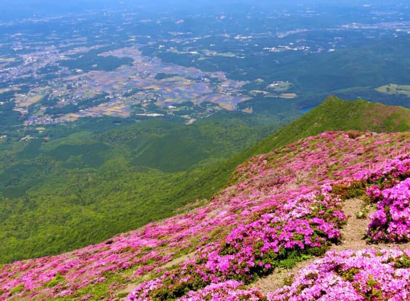 Kagoshima Kirishima National ParkVolcano Trek & Bento Lunch - Practical Details and Tips