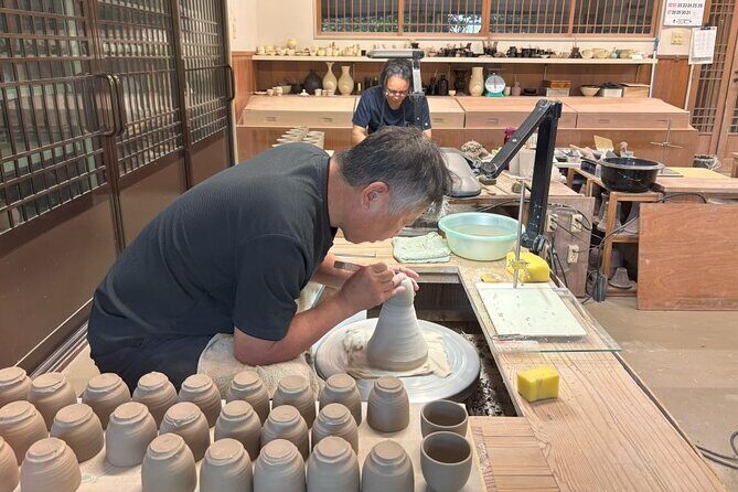 Kagoshima Unique Culture Tour with private car - Who Should Consider This Tour?