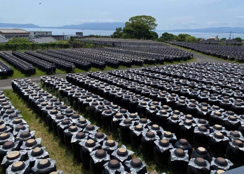 Kagoshima: Volcano & Nature Immersion Private Guided Tour - Key Points