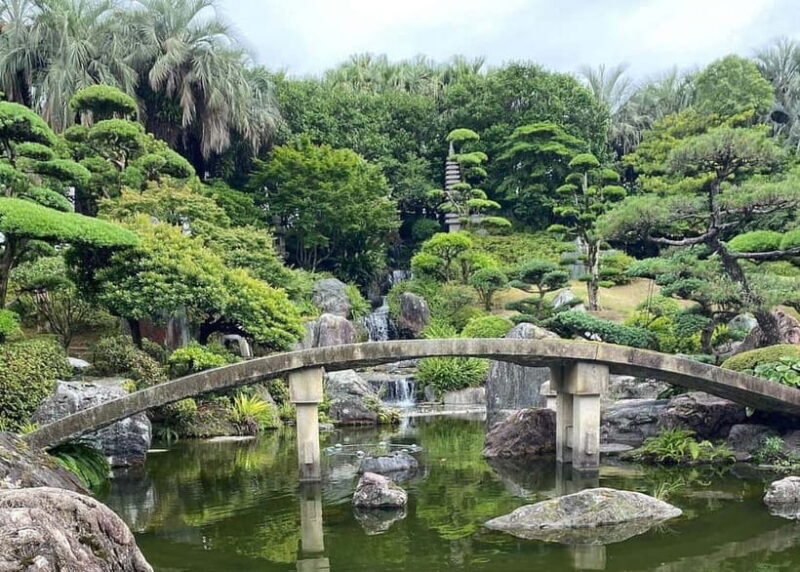 Kagoshima: Volcano & Nature Immersion Private Guided Tour - An In-Depth Look at the Kagoshima Volcano & Nature Tour