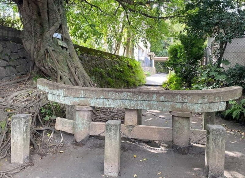 Kagoshima: Volcano & Nature Immersion Private Guided Tour - FAQs