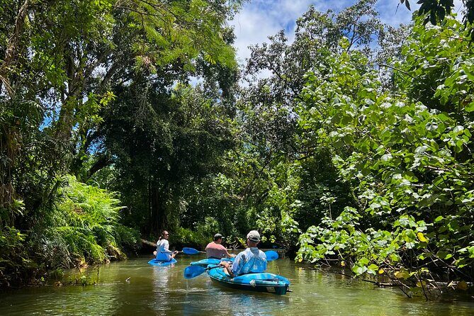 Kahana Bay River to Ocean: Kayak and Stand Up Paddle Board Rental - FAQ
