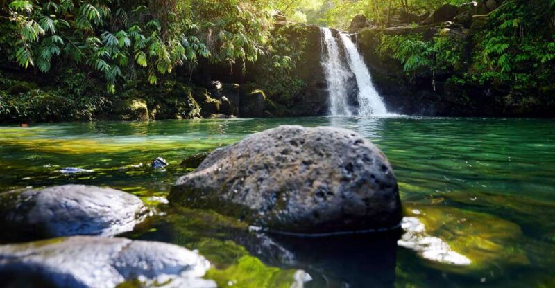 kahului-guided-rainforest-and-waterfall-walk