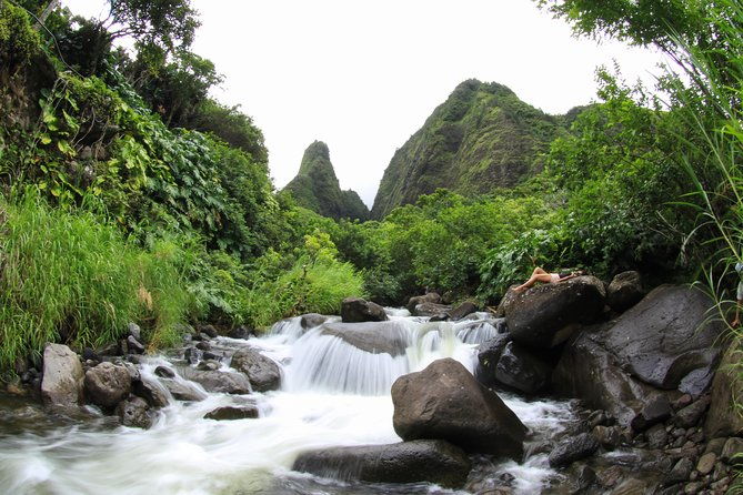 kahului-shore-excursion-private-tropics-of-maui-rainforest