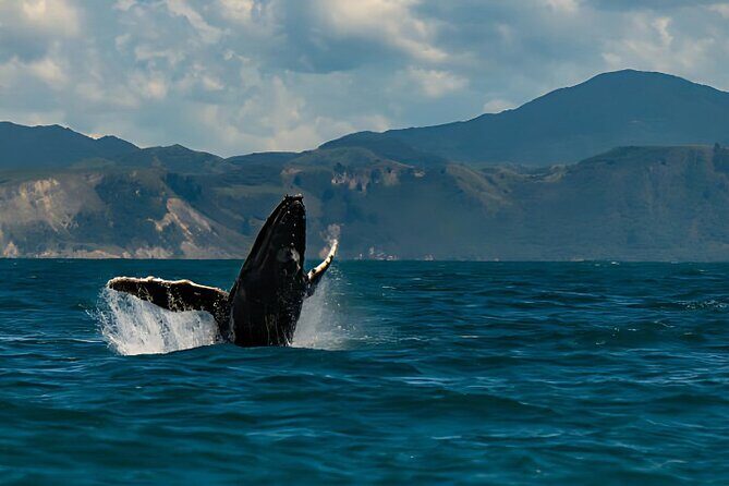 Kaikoura Day Tour From Christchurch - Key Points: