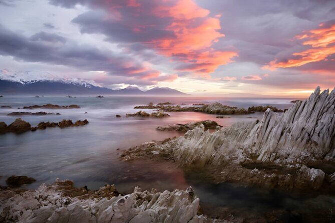 Kaikoura Day Tour From Christchurch - The Journey Begins: From Christchurch to Kaikoura