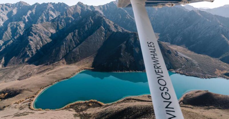 Kaikoura: Extended Flight Whale Watching & Mountain Tour - Key Points