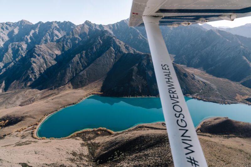 Kaikoura: Extended Flight Whale Watching & Mountain Tour - An In-Depth Look at the Tour Experience