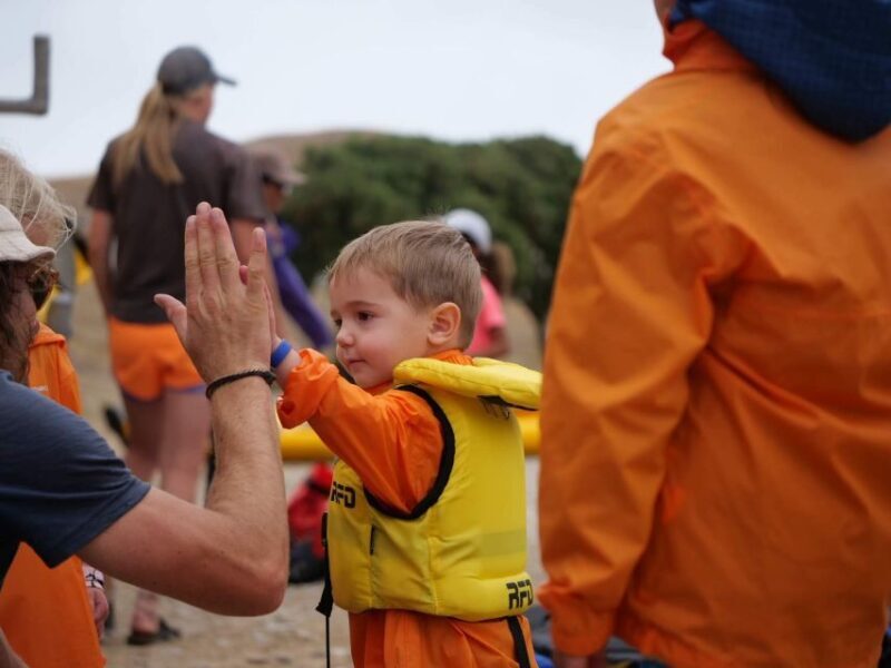 Kaikoura: Guided Family Kayaking Adventure - Wildlife Encounters and Marine Life