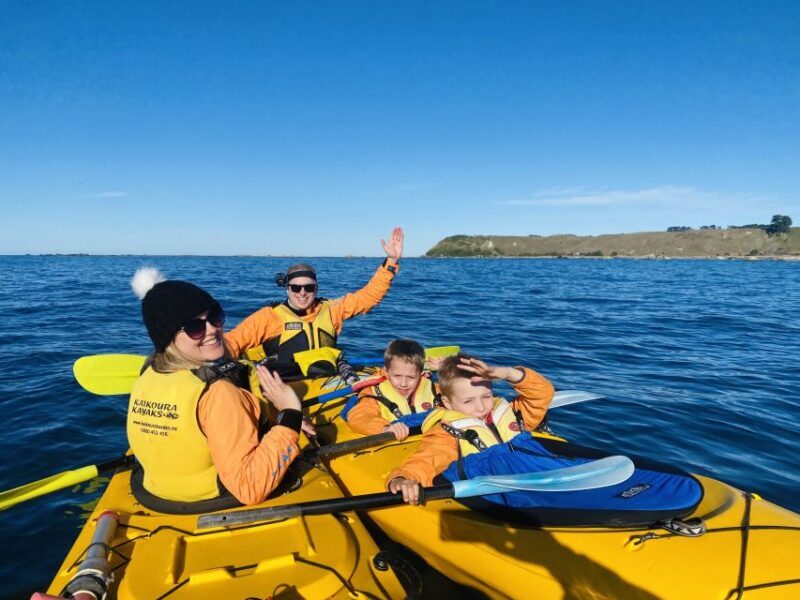 Kaikoura: Guided Family Kayaking Adventure - Practical Details and Value