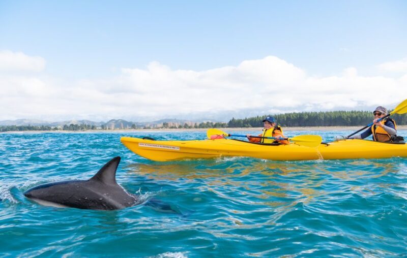 Kaikoura: Guided Family Kayaking Adventure - Who Should Consider This Tour?