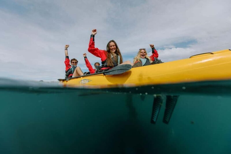 Kaikoura: Seal-Watching Pedal Kayak Tour - Final Thoughts