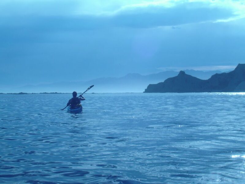 Kaikoura: Sunset Evening Kayaking Tour - Key Points